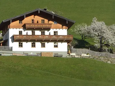 Kirschblüte