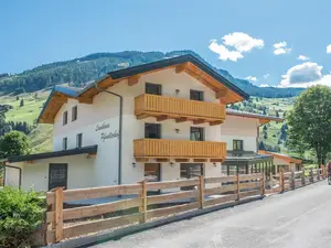 Ferienwohnung für 4 Personen (55 m²) in Rauris