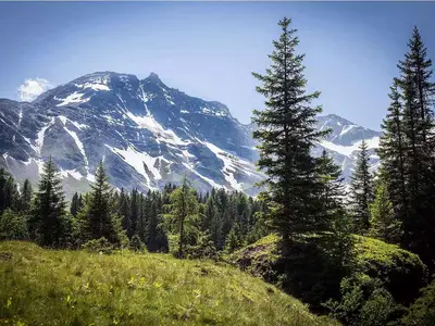 Ferienwohnung für 6 Personen (61 m²) in Rauris 5/10