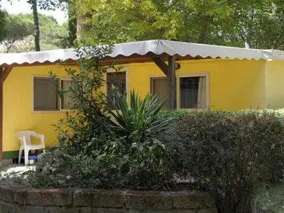 Ferienwohnung für 4 Personen (28 m²) in Punta Marina 6/10