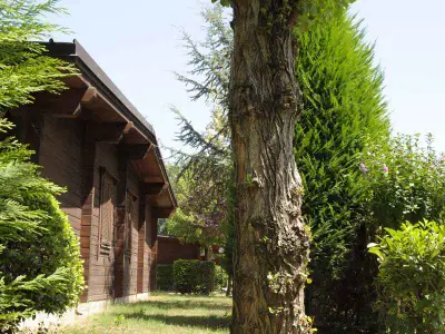 Ferienwohnung für 4 Personen (28 m²) in Punta Marina 8/10