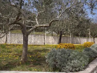 Ferienwohnung für 2 Personen (45 m²) in Ravni 6/10