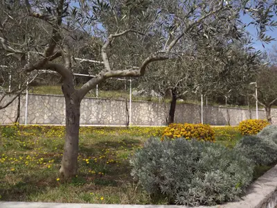 Ferienwohnung für 4 Personen (50 m²) in Ravni 4/10