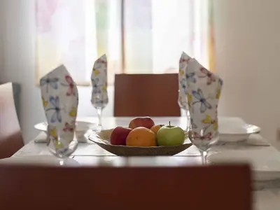 Ferienwohnung für 4 Personen (45 m²) in Ražanac 2/10