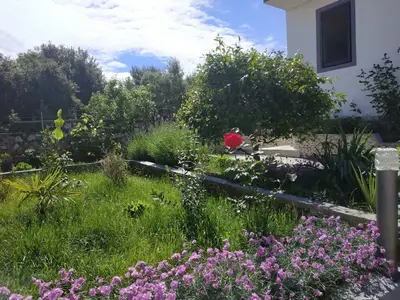 Ferienwohnung für 5 Personen (54 m²) in Ražanj 7/10