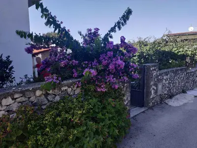 Ferienwohnung für 5 Personen (54 m²) in Ražanj 8/10