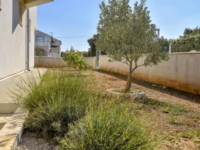 Ferienwohnung für 4 Personen (50 m²) in Ražanj 6/10