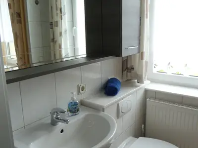 Ferienwohnung für 4 Personen (40 m²) in Rechenberg-Bienenmühle 7/10