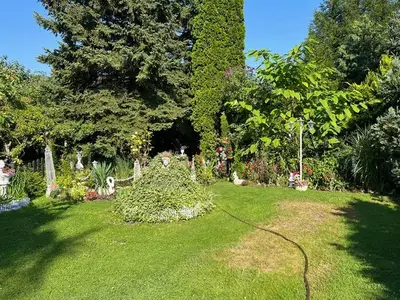 Ferienwohnung für 2 Personen (70 m²) in Rechlin 3/10