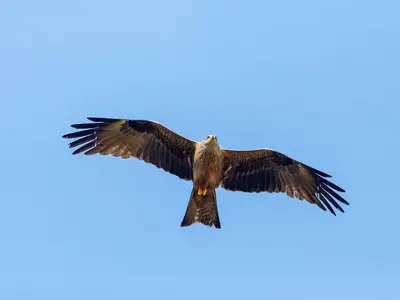 Ferienwohnung für 2 Personen (60 m²) in Rechlin 2/10
