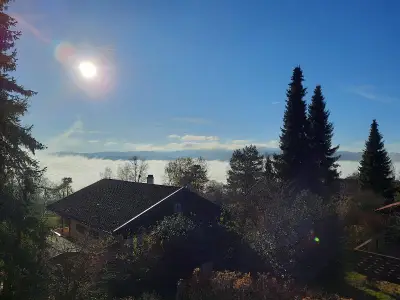 Ausblick