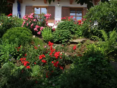 Garten Südostseite