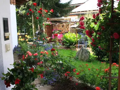 Unser Garten im Früh