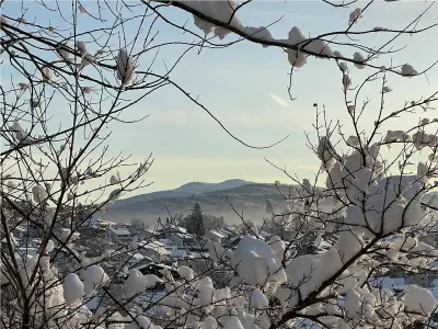 H.Aus.Zeit Rachel_Wi