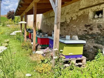 Unsere Bienen