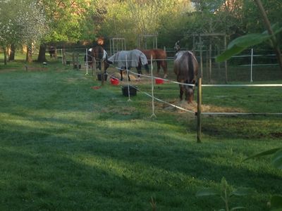 Ferienwohnung für 4 Personen (55 m²) in Rehden 9/10