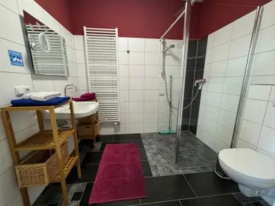 Ferienwohnung für 4 Personen (55 m²) in Rehden 5/10