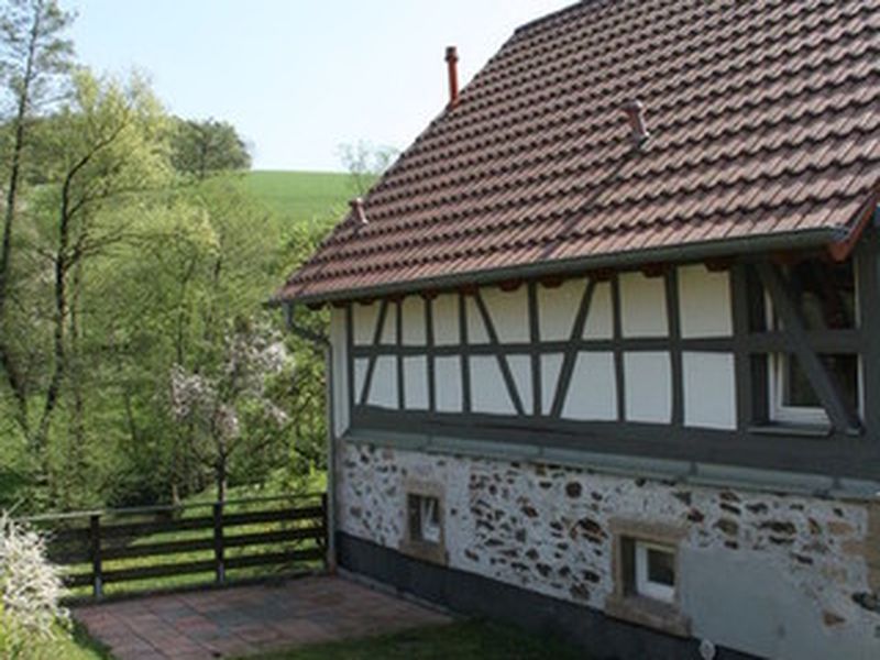 18291178-Ferienwohnung-4-Reichelsheim (Odenwald)-800x600-2