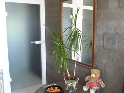 Ferienwohnung für 6 Personen (110 m²) in Reichenau 4/10