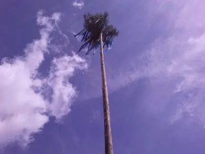 Ferienwohnung für 4 Personen (40 m²) in Reifferscheid 10/10