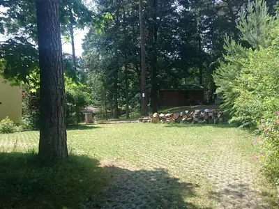 Ferienwohnung für 5 Personen (63 m²) in Reinhardtsdorf-Schöna 4/10