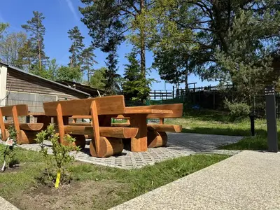 Ferienwohnung für 4 Personen (28 m²) in Reinhardtsdorf-Schöna 8/10