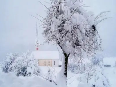 Ferienwohnung für 4 Personen (54 m²) in Reisach 5/10