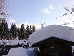 Schuppen- Winter