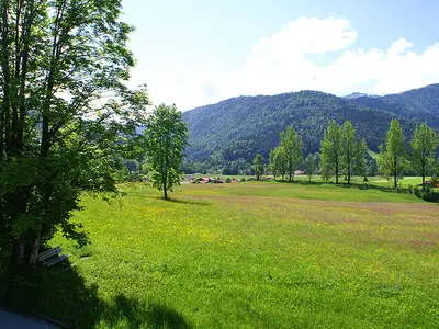 Die Natur direkt vor dem Fenster