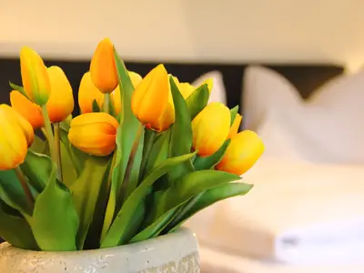 die Wohnung Walmberg