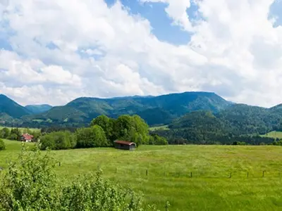 Aussicht vom Appartement Weitblick im Sommer