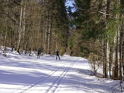 Langlauf- Winter