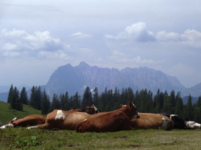 auf der Alm