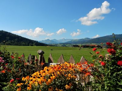 Der traumhafte Ausblick von den Ferienwohnungen im "Gästehaus Schönfeld" im Sommer...