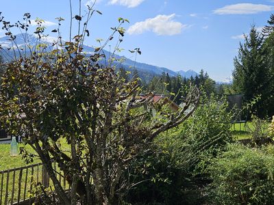 Blick aus den Garten