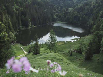 Taubensee