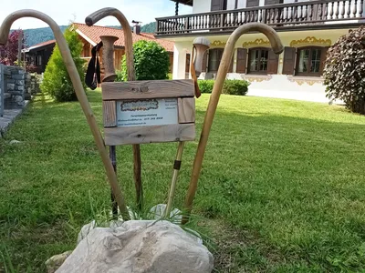 Spazierstock-Garten