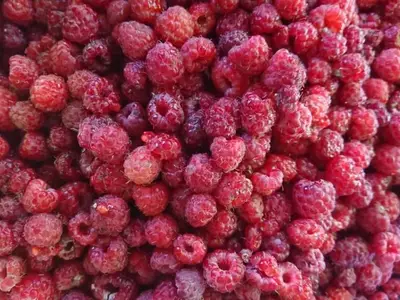 Ferienwohnung für 4 Personen (45 m²) in Reit im Winkl 9/10