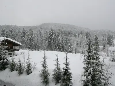 Ferienwohnung für 4 Personen (60 m²) in Reit im Winkl 9/10