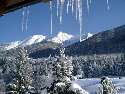 Ferienwohnung für 4 Personen (33 m²) in Reith bei Seefeld 6/10