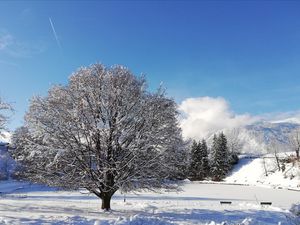 22217985-Ferienwohnung-7-Reith im Alpbachtal-300x225-3