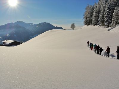 Schneeschuhwanderung Reith im Alpbachtal 18012016