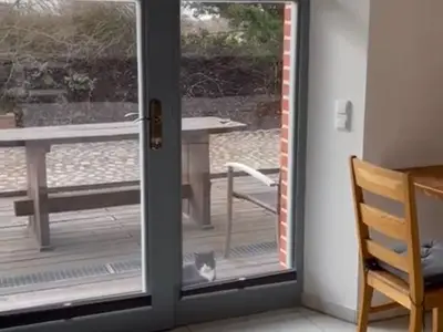 Ferienwohnung für 4 Personen (80 m²) in Remplin 6/10