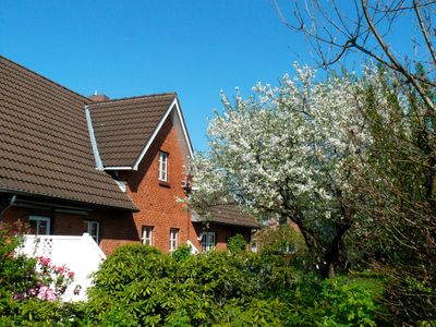 Ferienwohnung für 2 Personen (52 m²) in Rendsburg 1/10