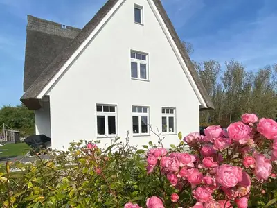 Ferienwohnung für 12 Personen in Rerik (Ostseebad) 2/10