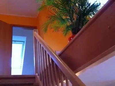 Ferienwohnung für 2 Personen (55 m²) in Rerik (Ostseebad) 7/10