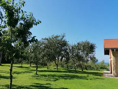 Ferienwohnung für 3 Personen (55 m²) in Rerik (Ostseebad) 3/10