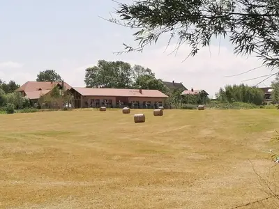 Ferienwohnung für 3 Personen (55 m²) in Rerik (Ostseebad) 6/10