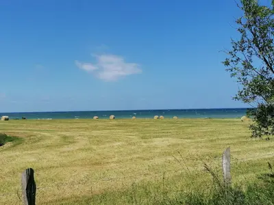 Ferienwohnung für 3 Personen (55 m²) in Rerik (Ostseebad) 7/10