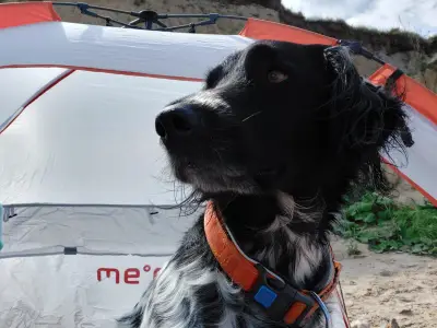 Ferienwohnung für 3 Personen (55 m²) in Rerik (Ostseebad) 9/10